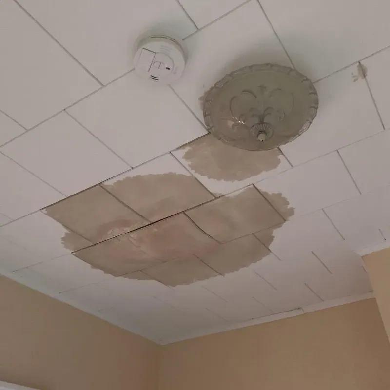 Ceiling Water Damage Repair in Howard County, IA