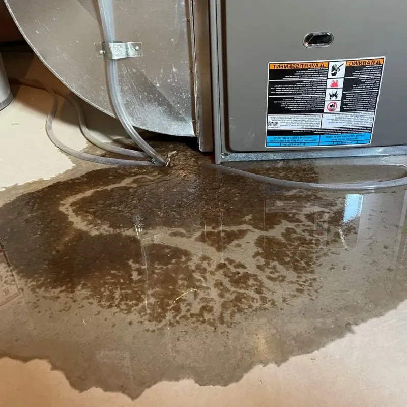 Pipe Burst and Leak Restoration in Howard County, IA