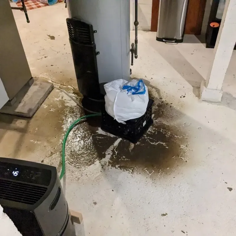 Sewage Backup Cleanup Service in Howard County, IA